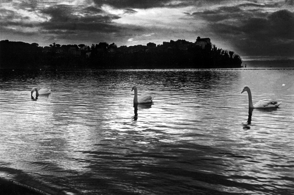 photo_four